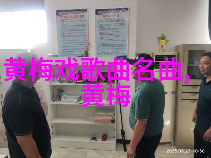 黄梅戏融南合北的品格特征展现