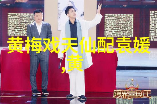 黄梅戏陈州怨