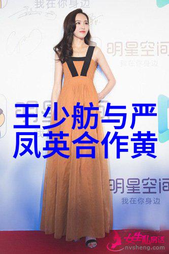 黄梅戏演员孙雪莲介绍