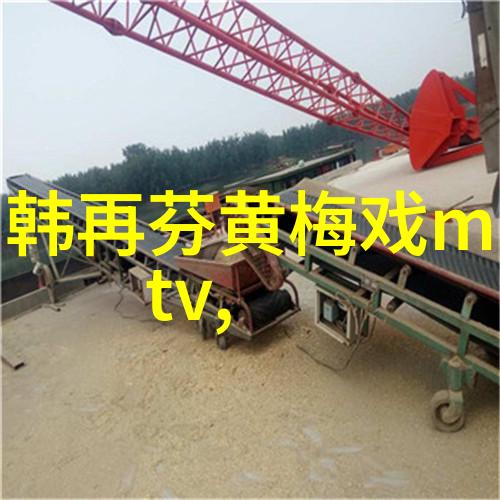 黄梅戏演员张立介绍