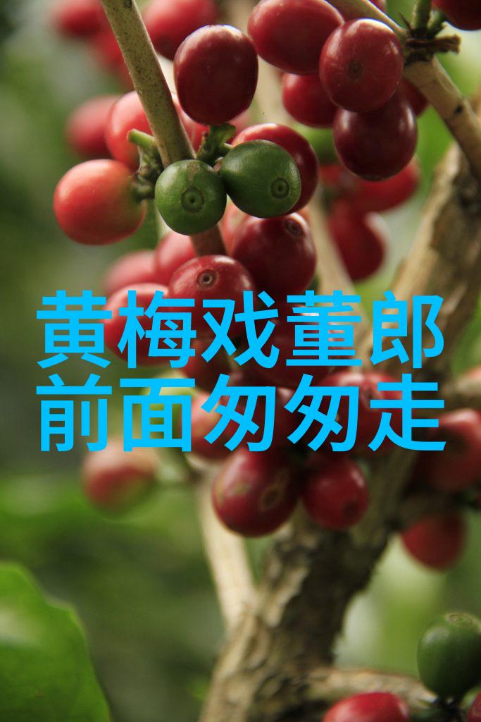 湖北省戏曲艺术剧院春节楚剧黄梅戏演出信息