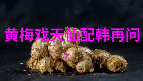黄梅戏乾隆辨画
