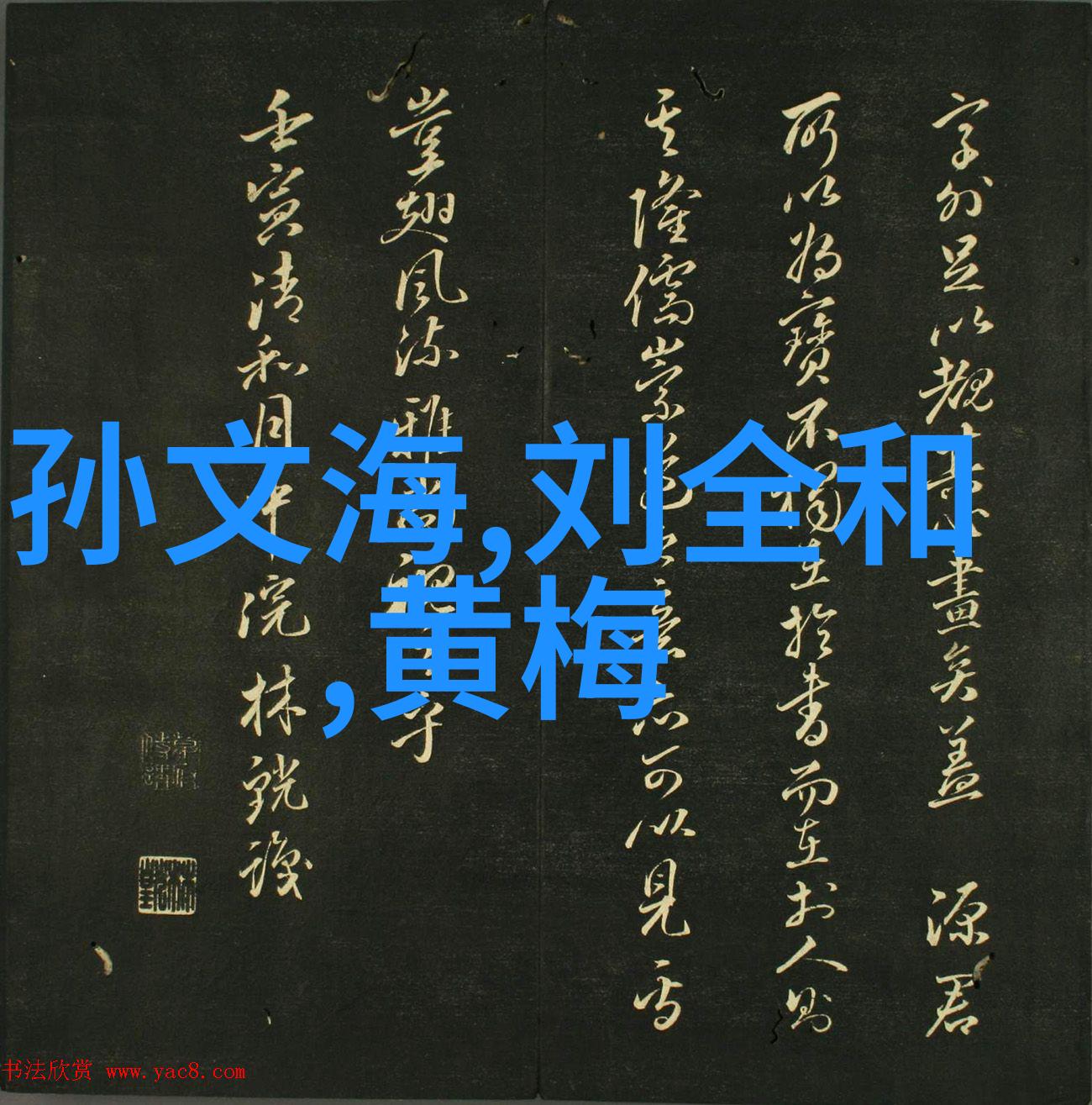 仝婷 黄梅戏旦行演员 仝婷
