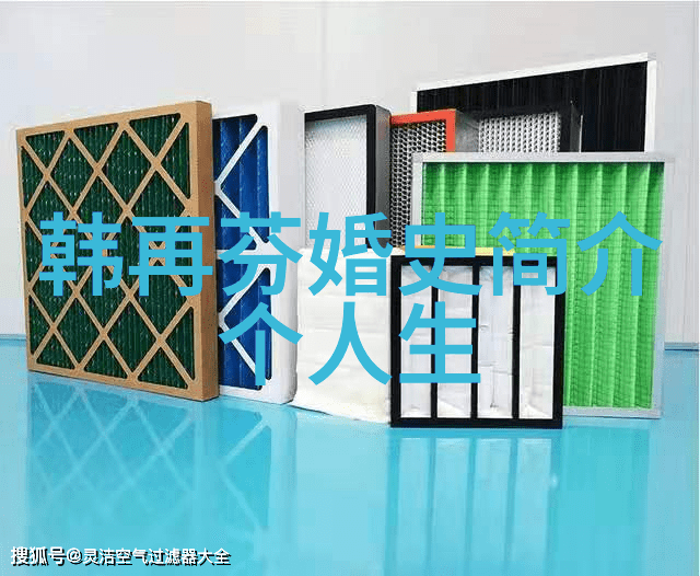 黄梅戏演员夏承平介绍