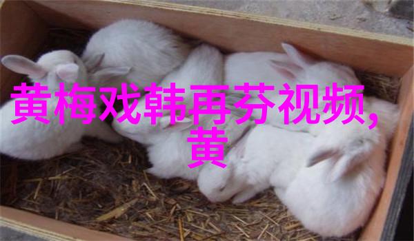 黄梅戏演员江帅介绍