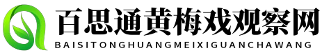 百思通黄梅戏观察网